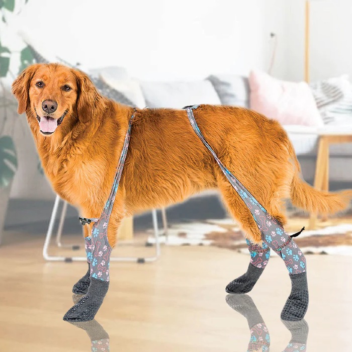 Walkee Paws Indoor Grippy Sock Leggings Reviews 