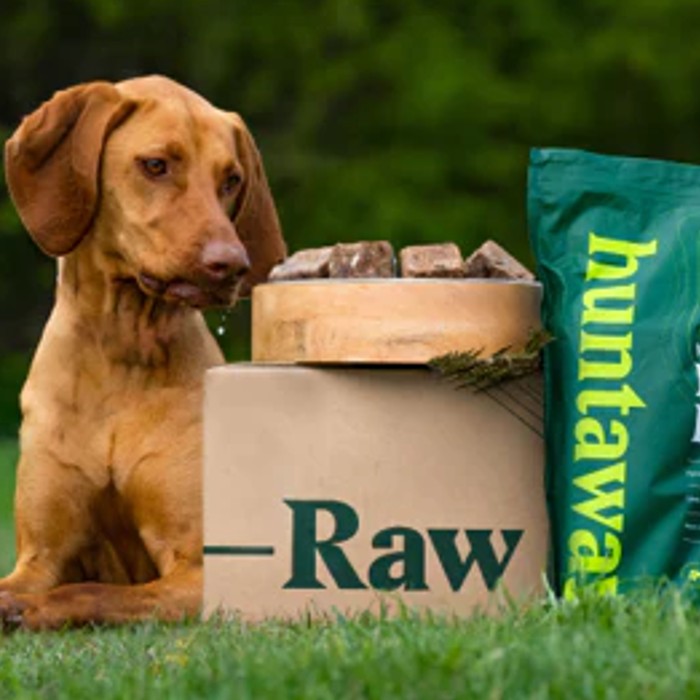 Why Shop at Huntaway Raw Dog Food?