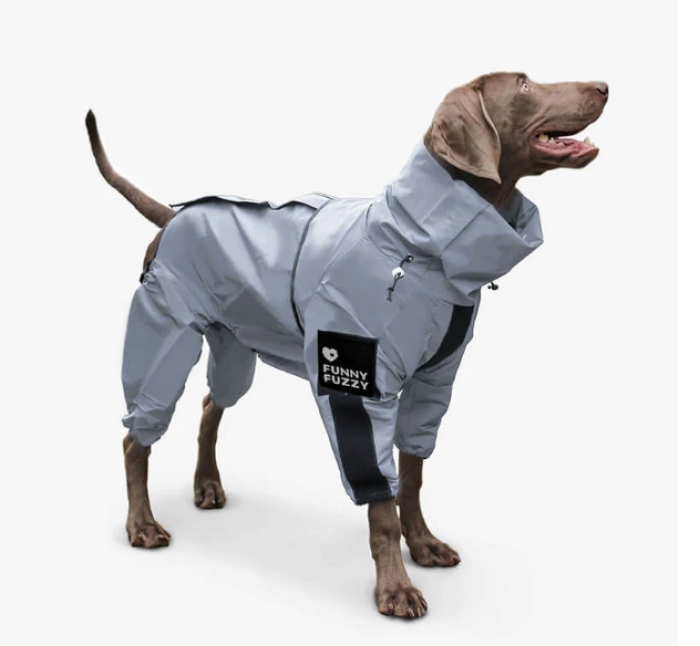 Funny Fuzzy Dog Waterproof Rain Coat Reviews 